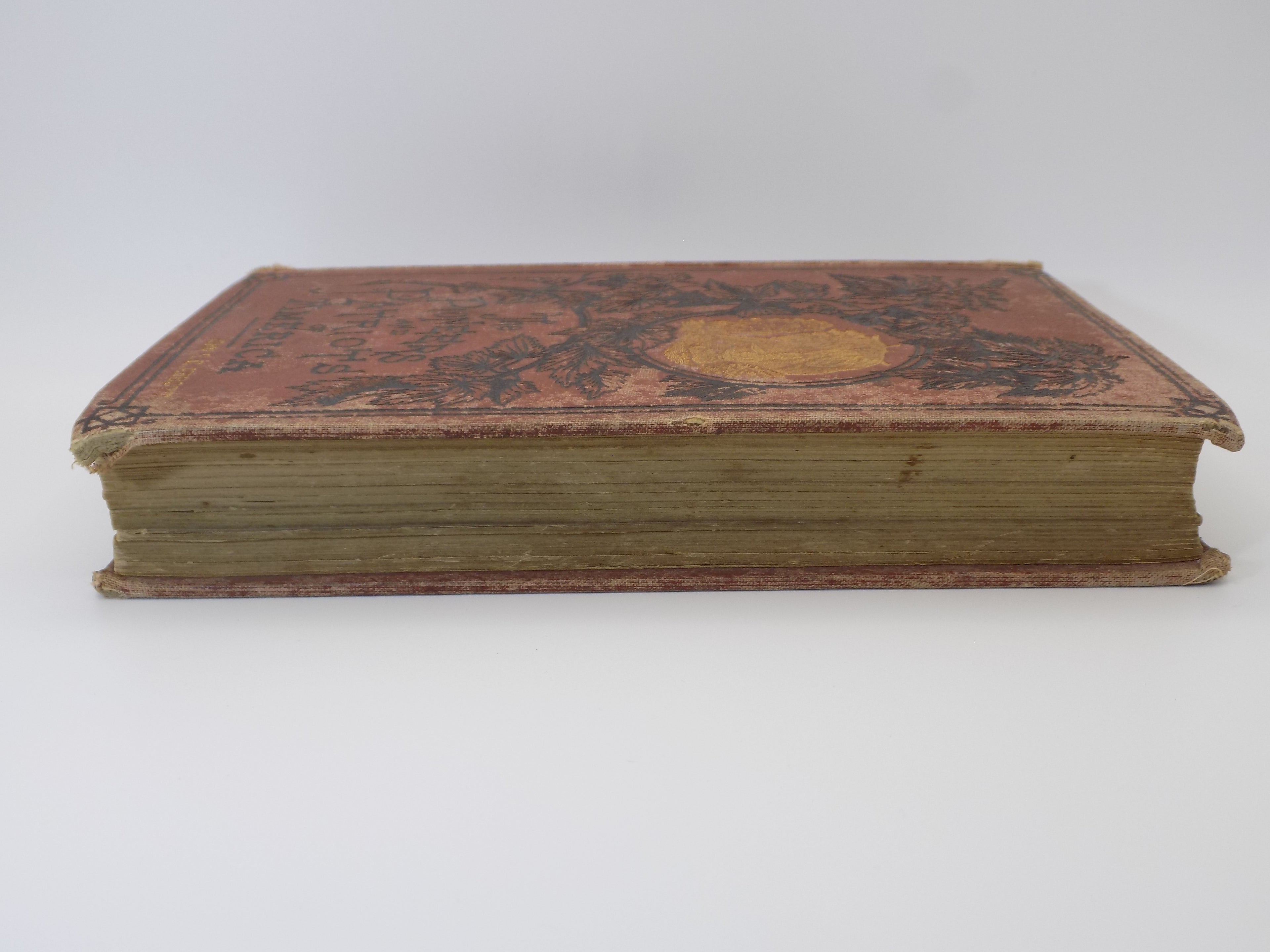 The Pioneers and Patriots of America George Washington or Life in America One Hundred Years Ago by John S. C. Abbott | Dodd & Mead, 1875