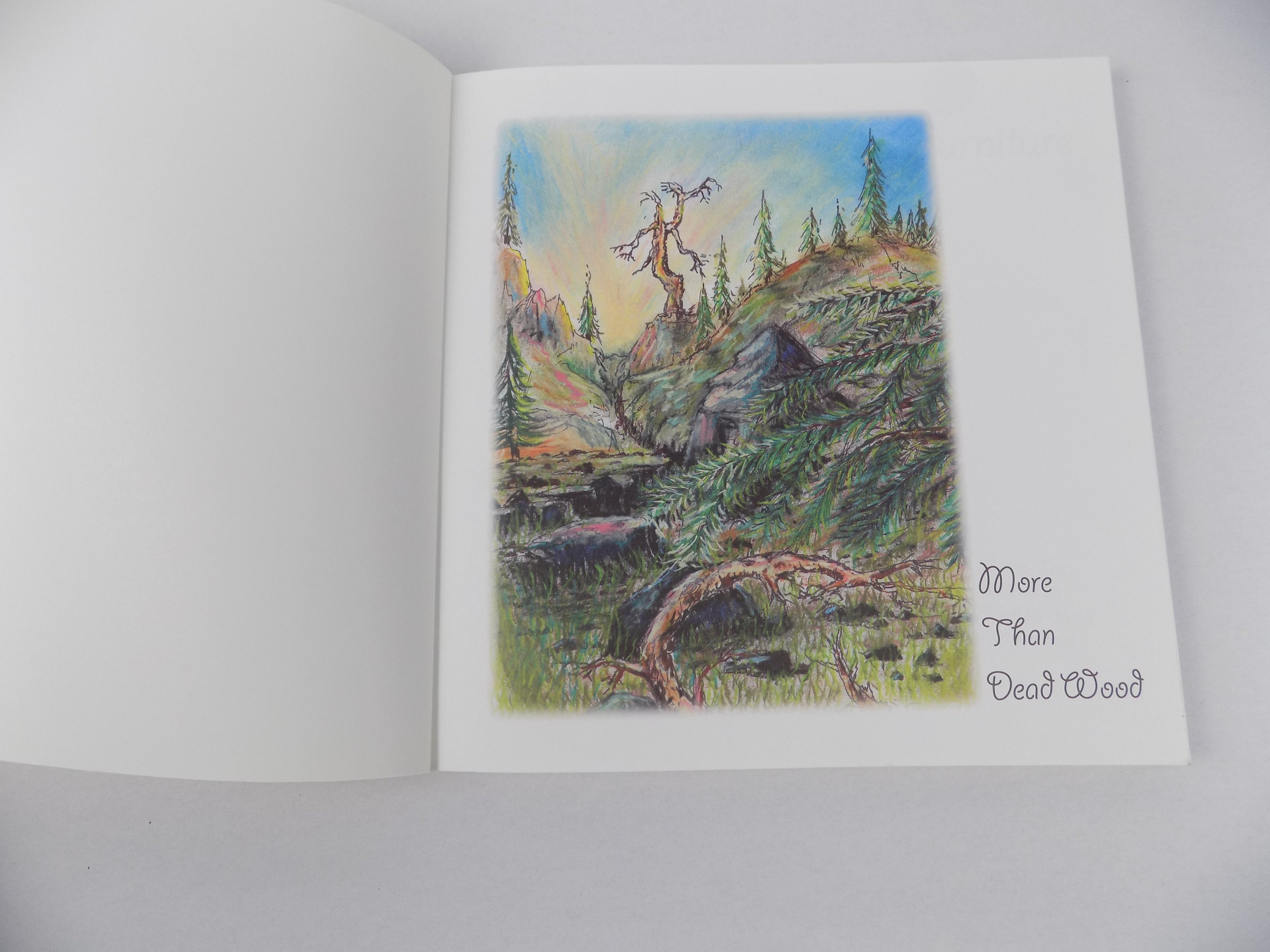 Build Your Own Log Furniture by Les Smith & Dan Swesey | First Printing 2001