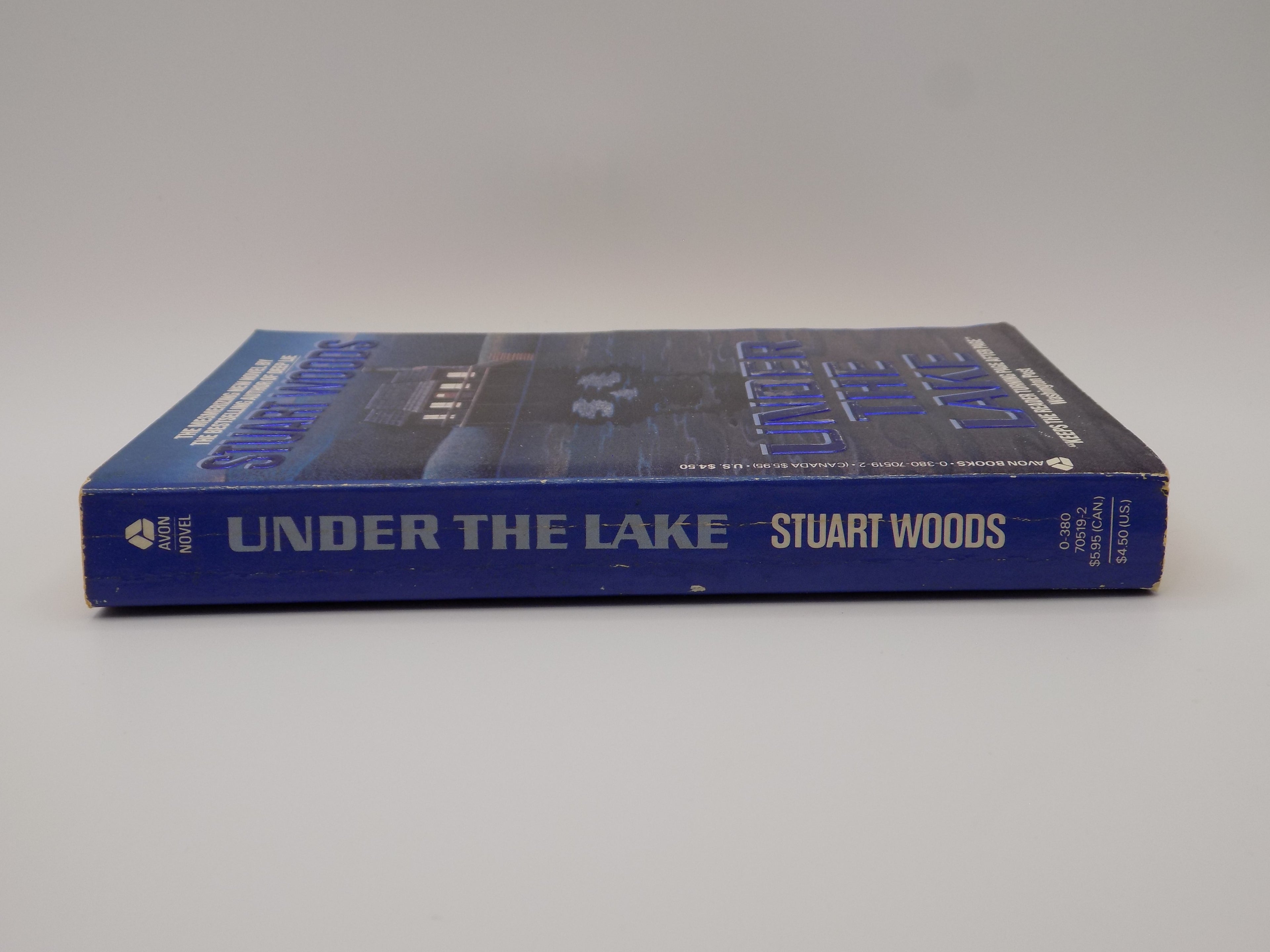 Under The Lake by Stuart Woods | 1988, Southern Gothic