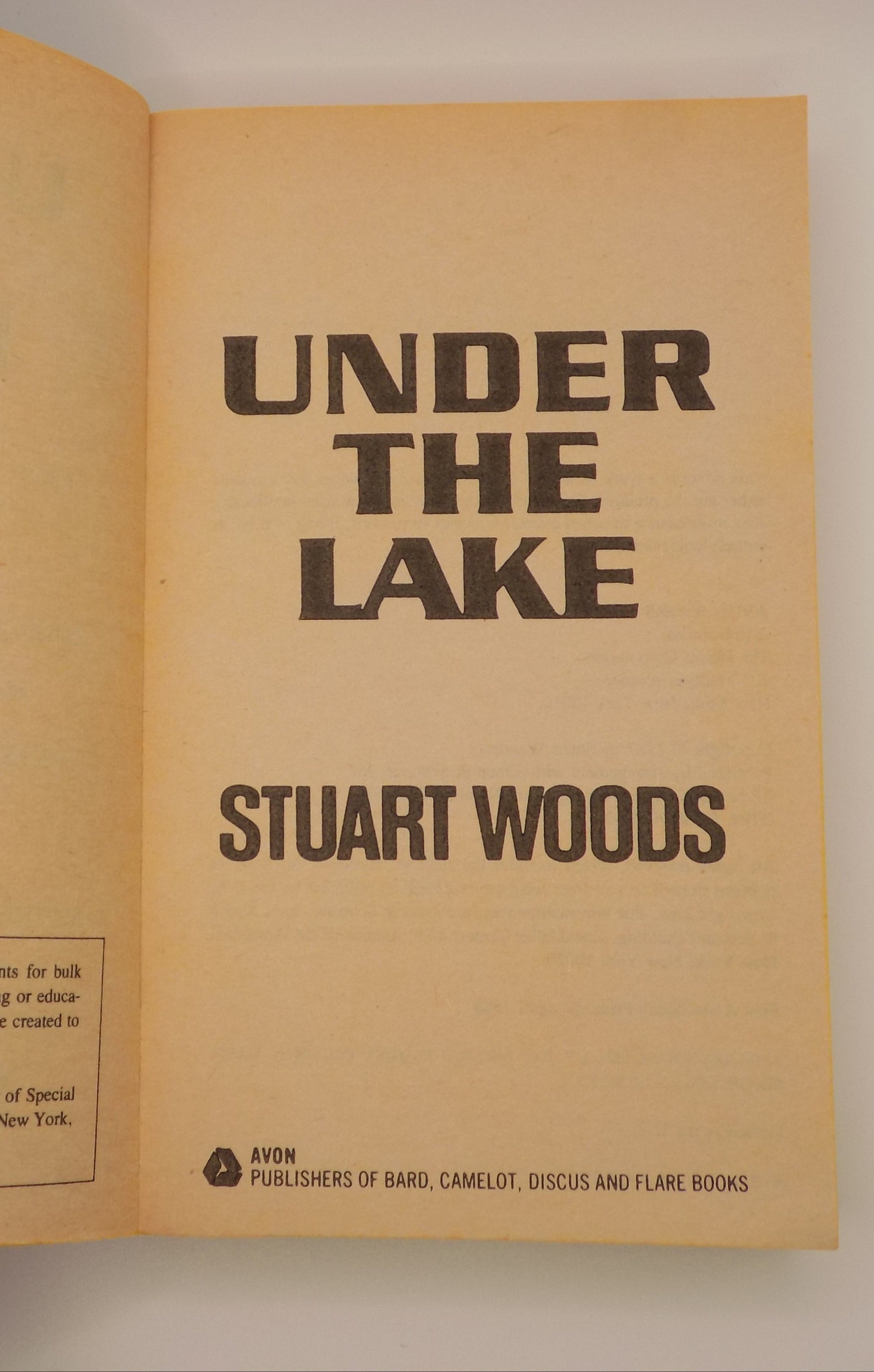 Under The Lake by Stuart Woods | 1988, Southern Gothic