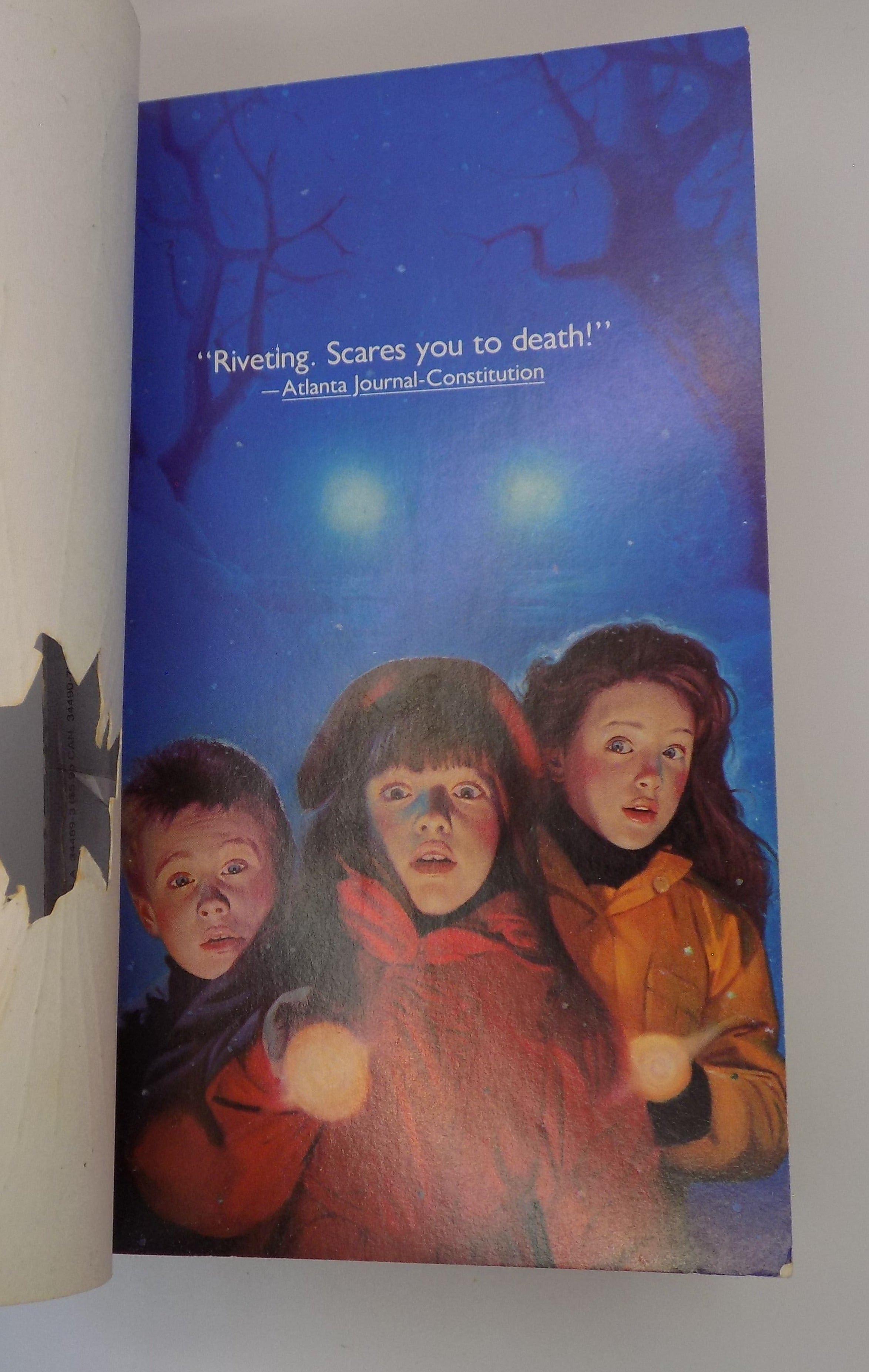 Lost by Gary Devon | Warner Books, 1987