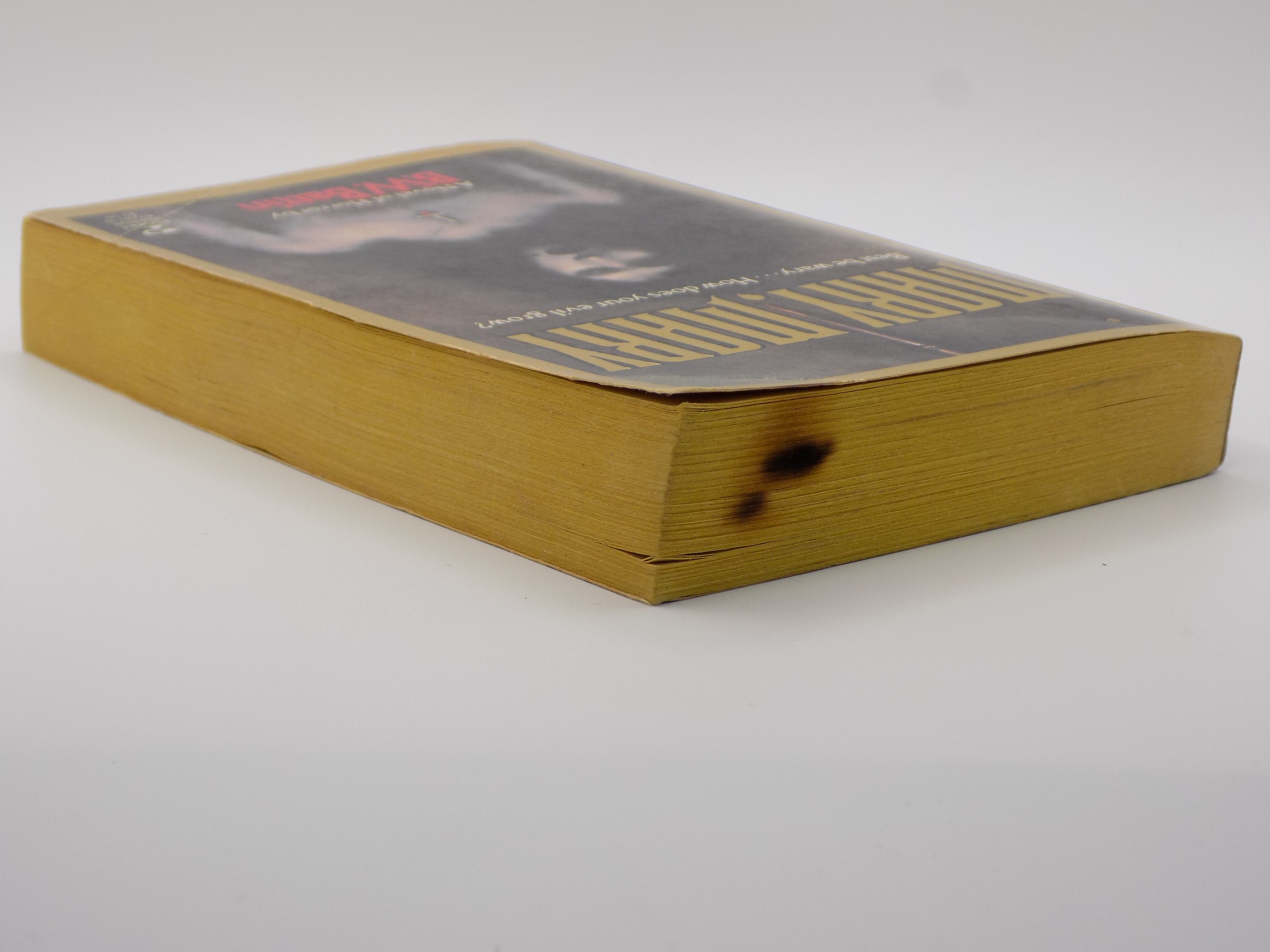 Mary, Mary by B.W. Battin | Pocket Horror, 1st Printing 1985