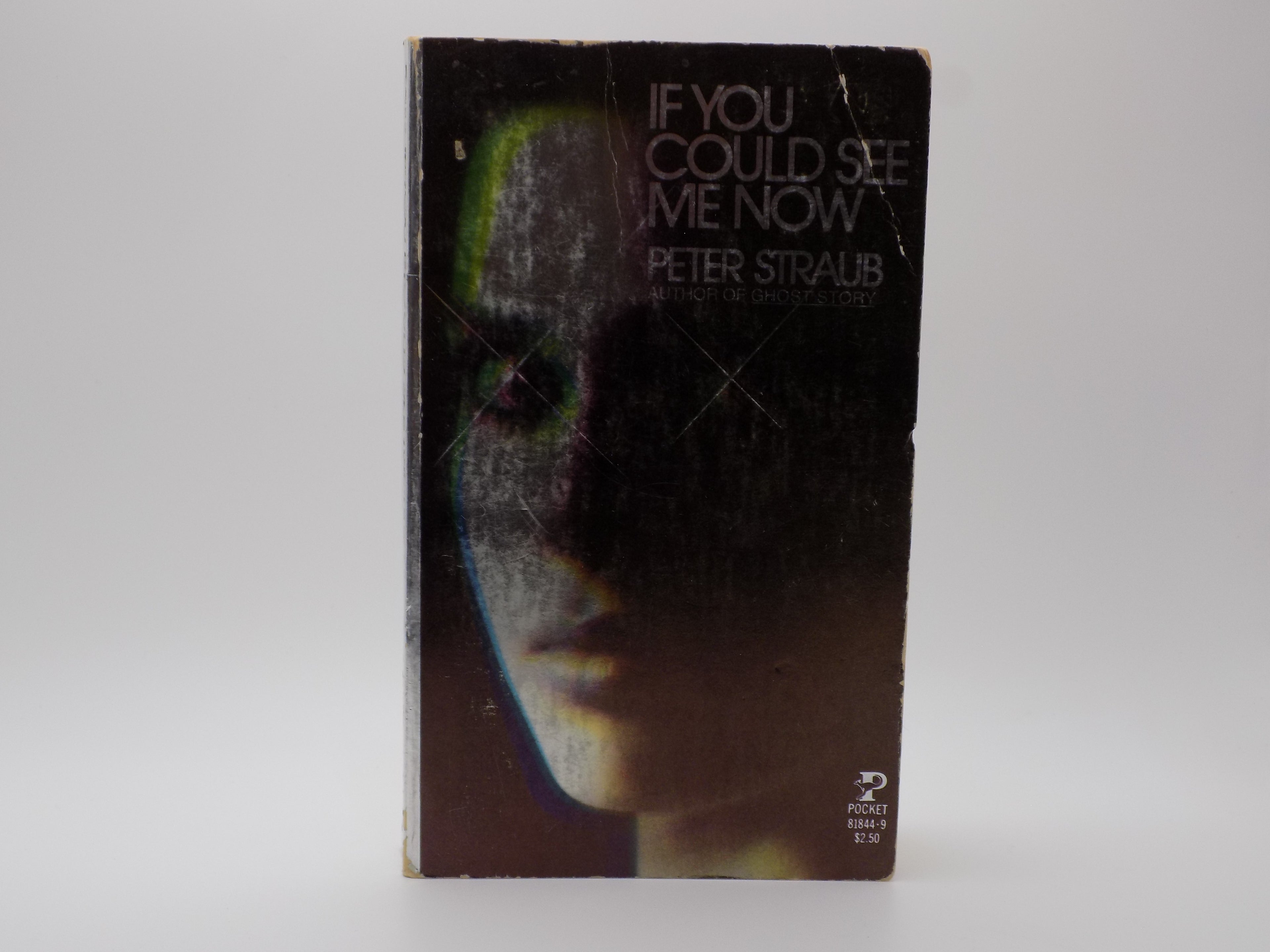 If You Could See Me Now by Peter Straub | First Pocket Book Printing, 1979
