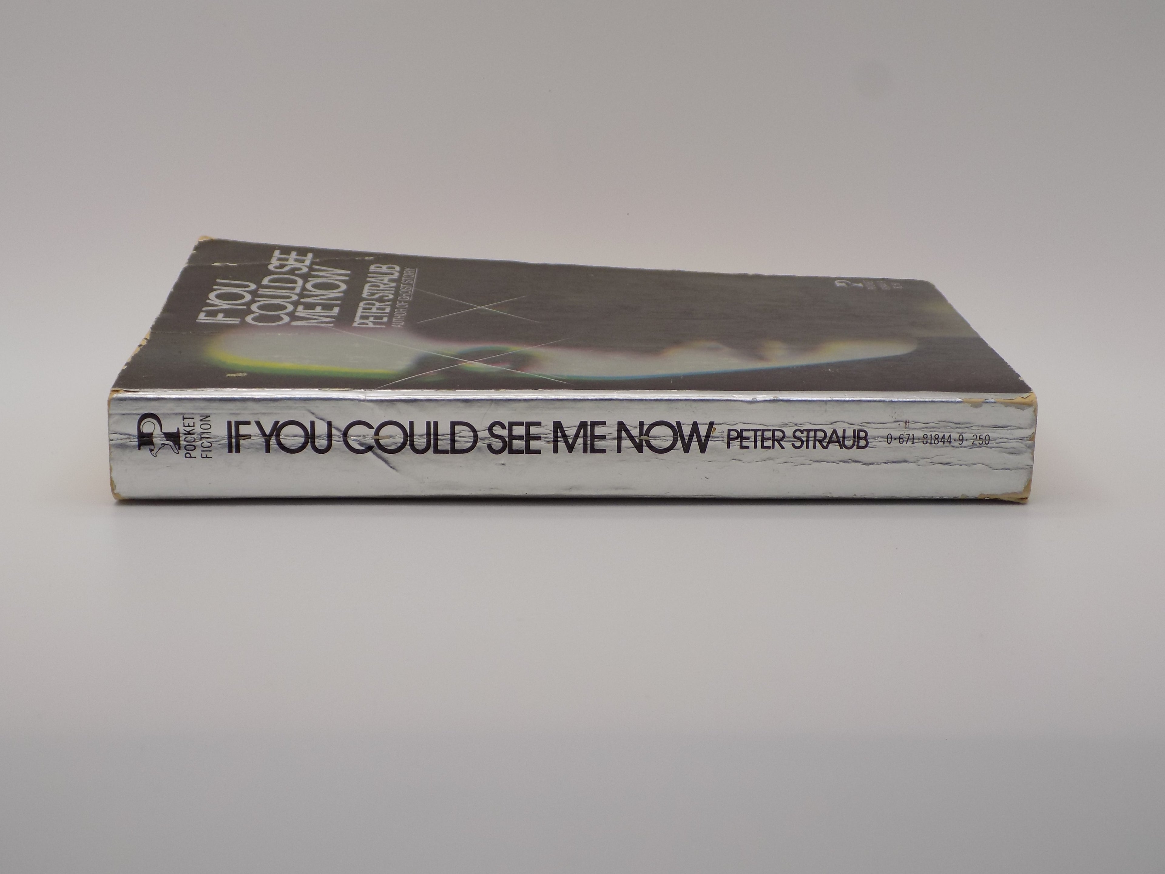 If You Could See Me Now by Peter Straub | First Pocket Book Printing, 1979