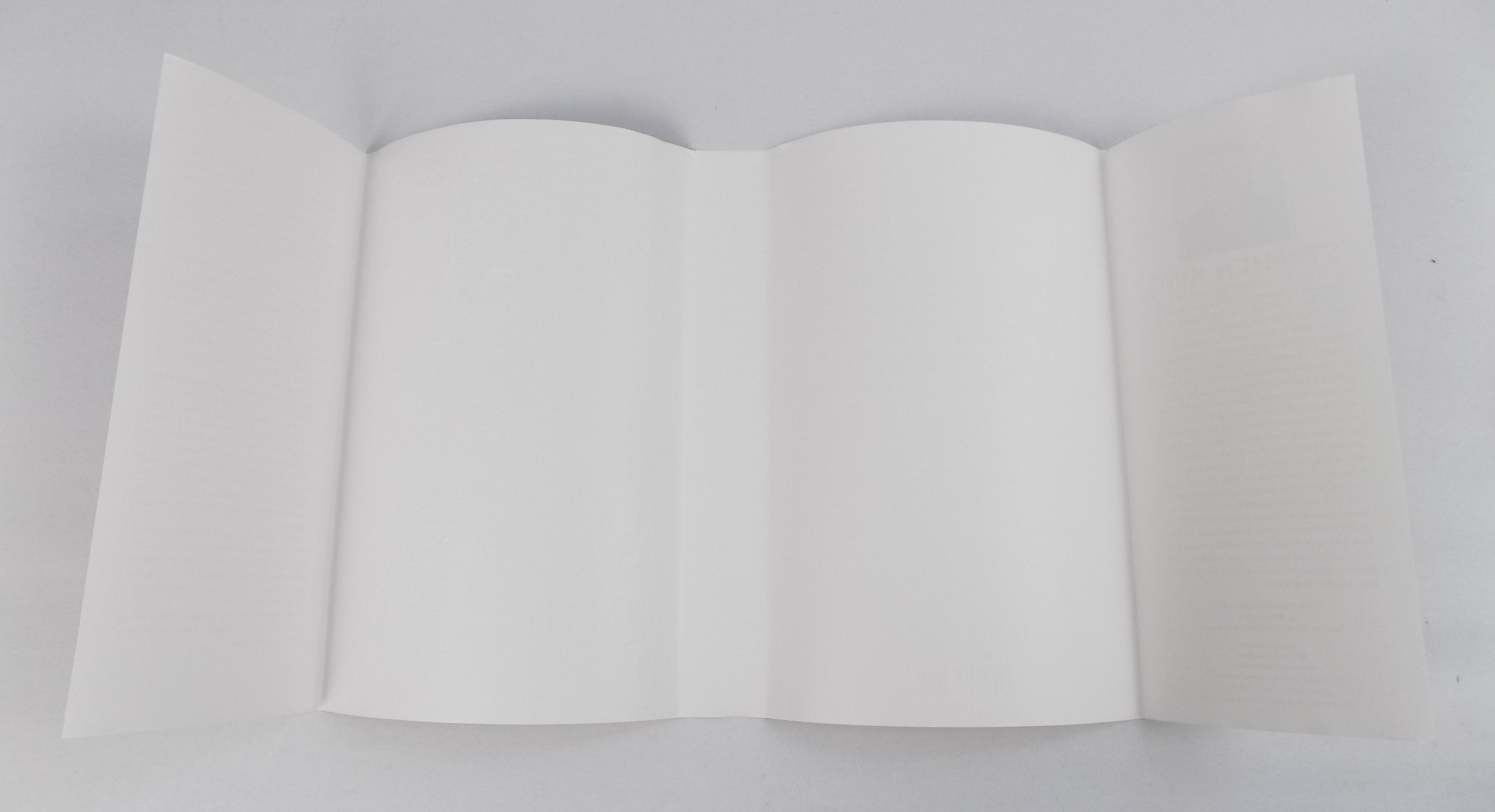 Never Flinch by Stephen King · First Edition · Scribner · 2025