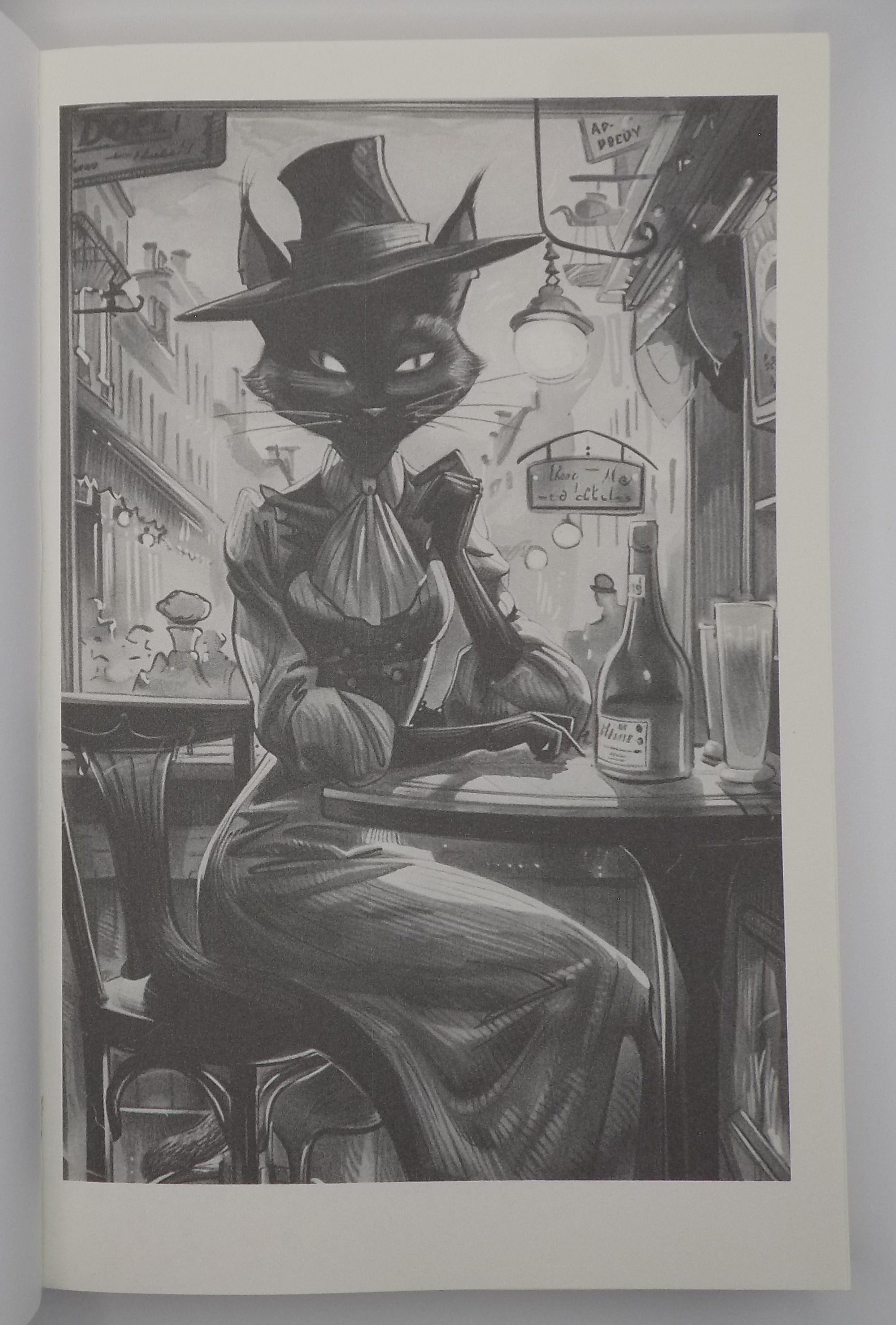 Moggie Noir: Alley Cat Alibi edited by Rita Beeman · Raconteur Press. 2024
