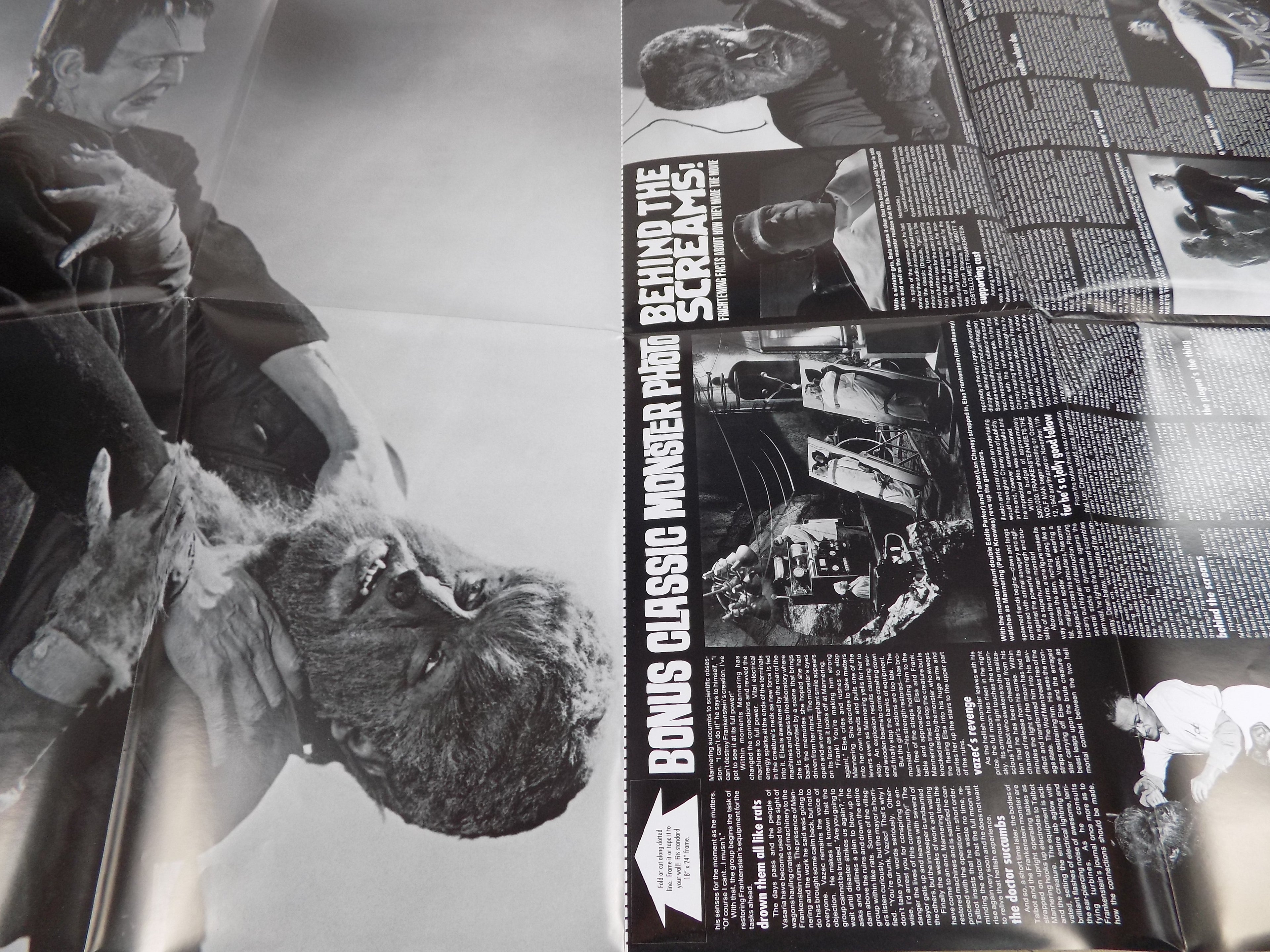 Classic Monsters Posterzine Vol. 1 No. 1 Frankenstein Meets the Wolf Man! SIGNED Ray Ferry-Rare