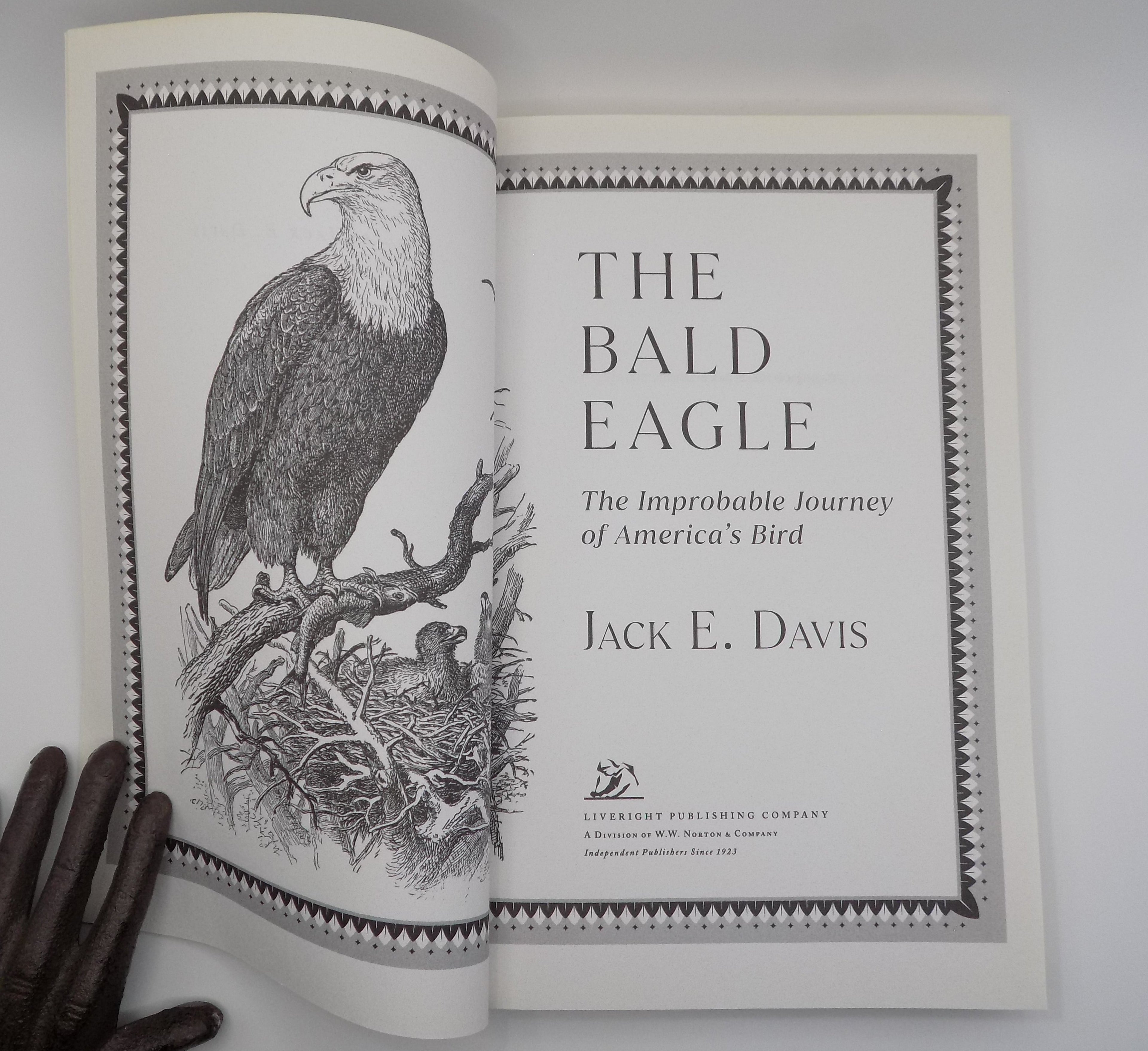The Bald Eagle by Jack E. Davis · Liveright, 2022 · Advance Reader Copy