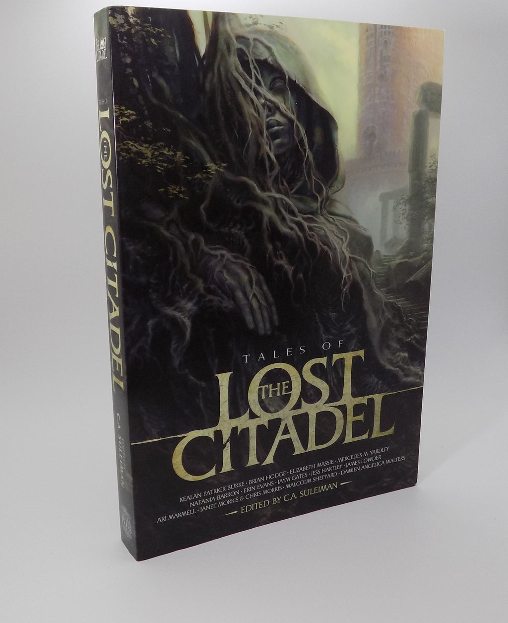 Tales of The Lost Citadel by C.A. Suleiman · Nisaba Press, 2016 · Anthology