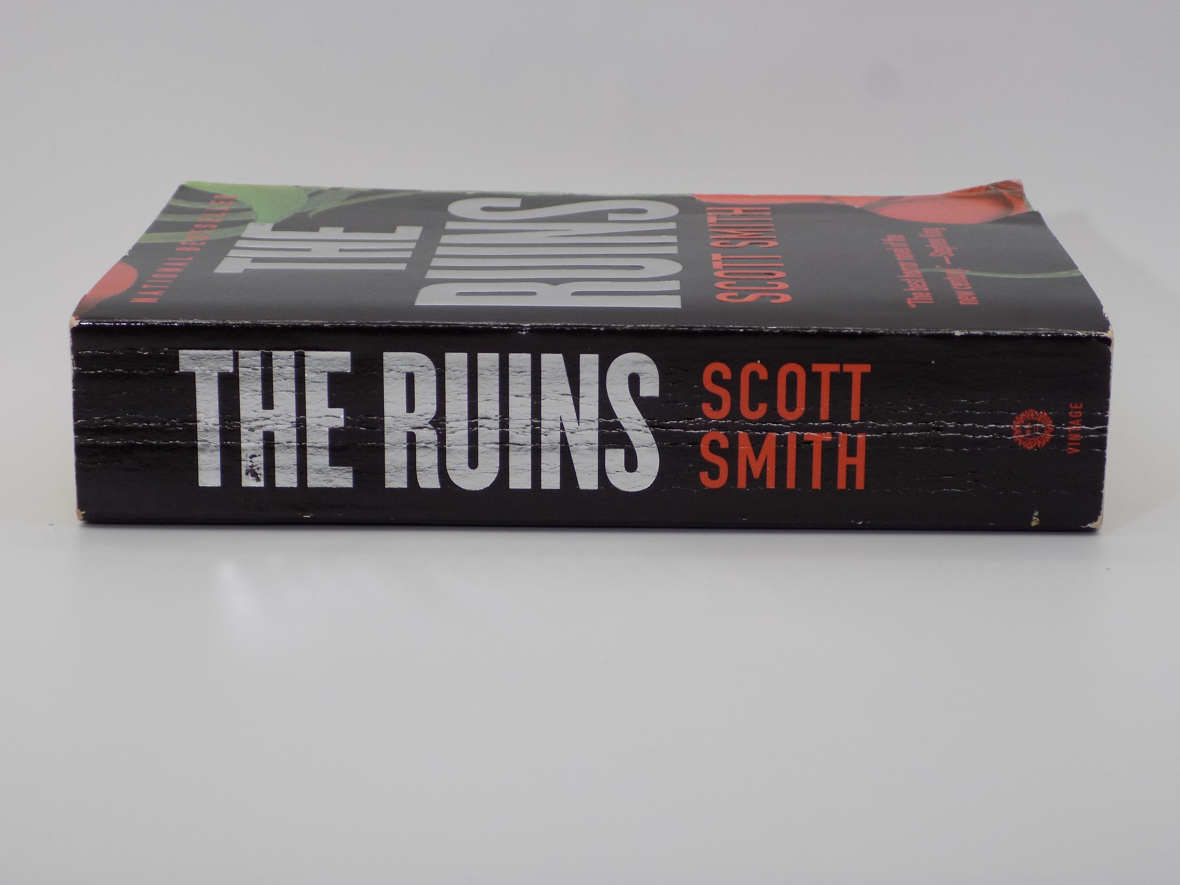 The Ruins by Scott Smith [First Vintage Books Paperback, 2007]